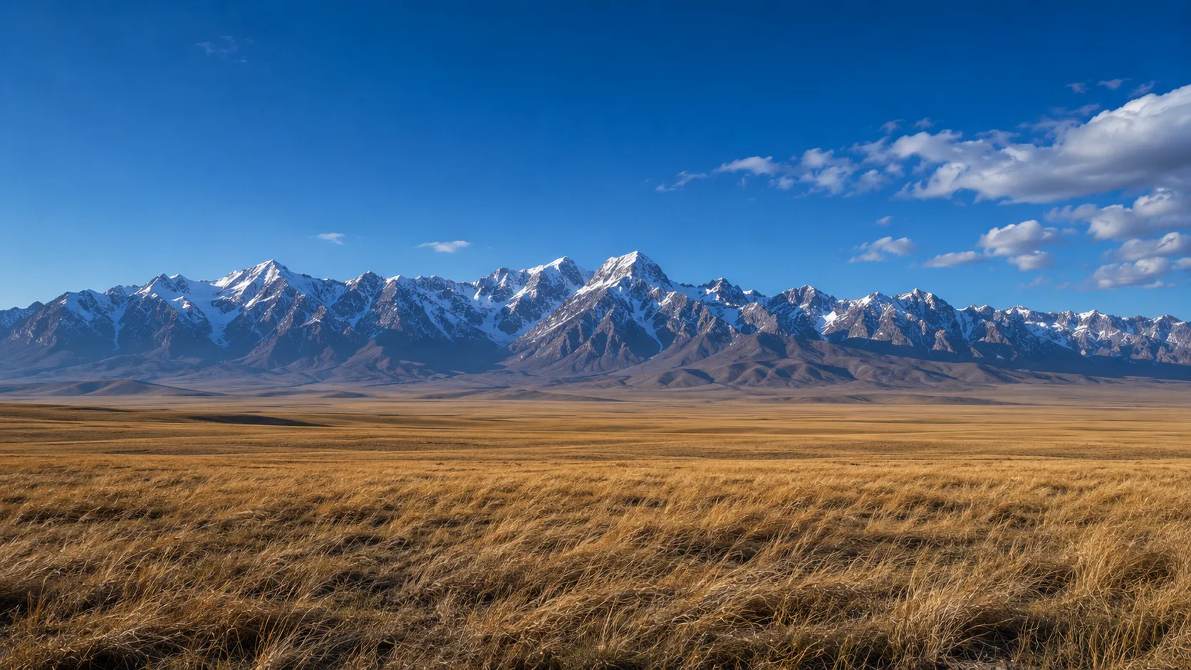 Alashan Plateau, western Inner Mongolia — semi-desert steppe at the foot of the Helan Shan, spring combing season